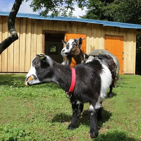 Penzion Pirker's Familienpension 3*